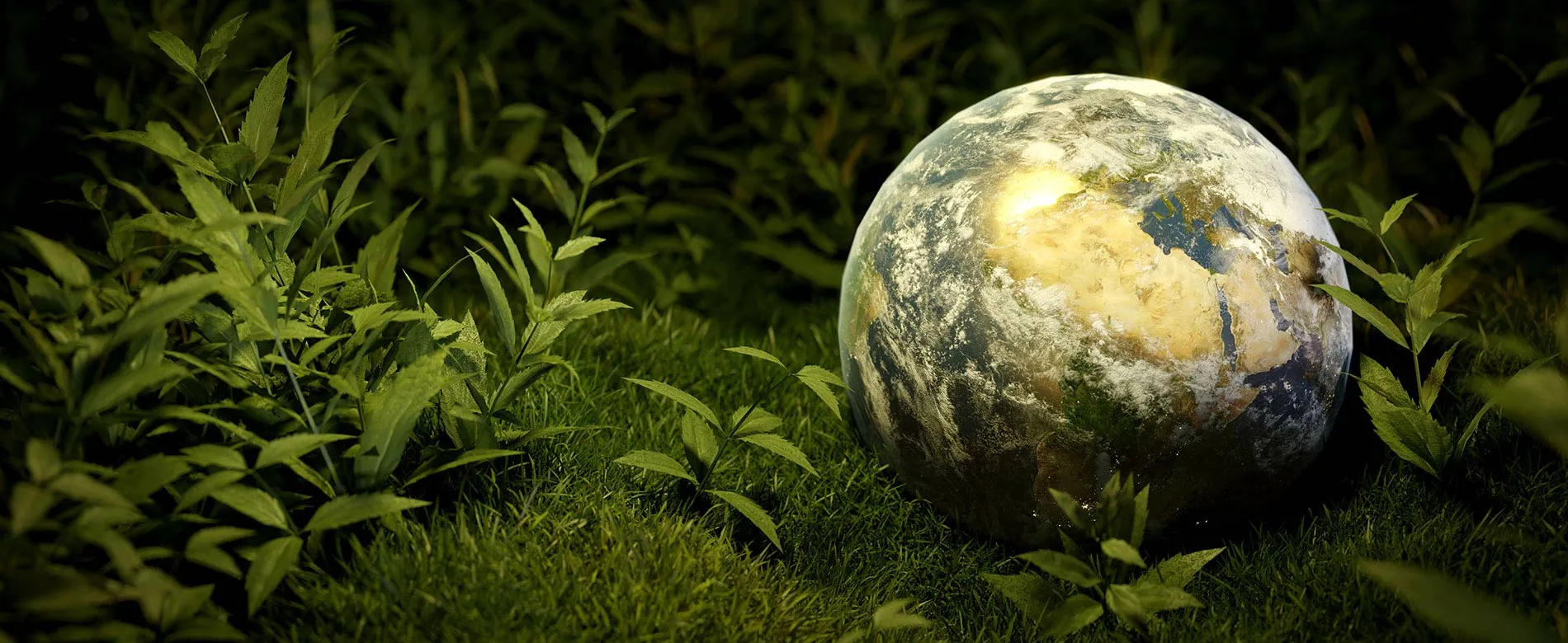 Earth globe on green forest floor