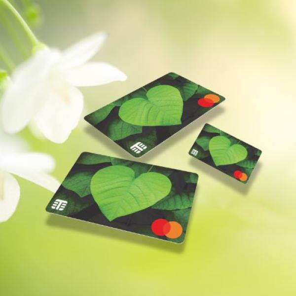 Prepaid paperboard financial cards