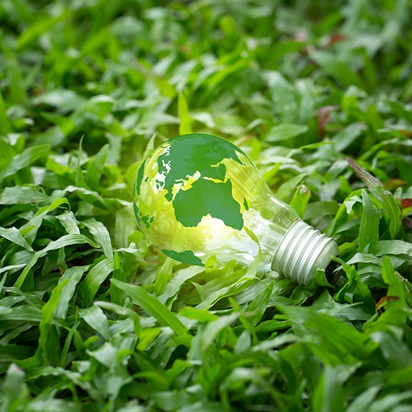 Green world map on a light bulb on grass