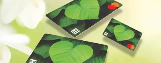 Prepaid paperboard financial cards